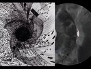 FLYING LOTUS - COSMOGRAMMA VINYL ME PLEASE LTD EDITION  VINYL LP MINT NEW