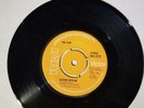 The Jook vinyl single 70er Promo rar it`s alright wir me