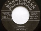 THE JIANTS -TORNADO / ROD WILLIS -THE CAT- 7
