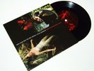 NICK CAVE AND THE BAD SEEDS + KYLIE MINOGUE,WHERE THE WILD ROSES GROW 7