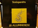 Gli Alluminogeni ?– Scolopendra LP Originale Fonit 1972 RARISSIMO PROG NEAR MINT
