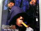 Infamous Mobb ?– Blood Thicker Than Water, Vol. 1 / Hip Hop, 2×Vinyl, Mobb Deep