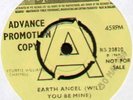 VOGUES   EARTH ANGEL (WILL YOU BE MINE) / P.S. I LOVE YOU   1969 UK 