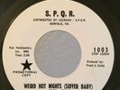 Garage Psych PROMO 45 The Wild Thing Weird Hot Nights on S.P.Q.R. HEAR