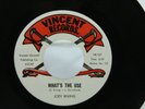 Joey Irving 45 RPM Record Whats the Use Don't Throw Our Love Away Northern Soul