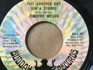 Northern Soul 45/ Timothy Wilson 