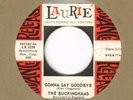 Garage Rock THE BUCKINGHAMS Gonna Say Goodbye / Many Times LAURIE Promo 45 VG++