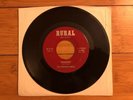 The Protein Bros. ?- Drainpipe / Cholo 1973 Rural ?RR 45-01 45 Vinyl NM-