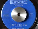 RARE SURF Guitar INSTRUMENTAL Rocker THE REVELS Intoxica/Comanche DOWNEY 45 Hear