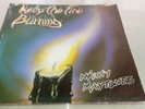 THE MIGHTY MAYTONES // KEEPING THE FIRE BURNING // THIRD WORLD // LP // Listen