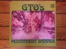 GTO's ?– Permanent Damage 1969 Straight ?STS 1059 Jacket VG+ Vinyl NM