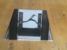 Mos Def: The Ecstatic 2 LP Original 2009