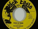 Black Eagles ft. Jah T 