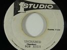 Bob Andy/Wailers 