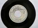 Frankie Lee Sims 45 -My Talk Don't Do Any Good/I Warned You Baby - ACE 539  VG+