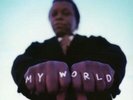 My World - FIELDS LEE & THE EXPRESSIONS [LP]