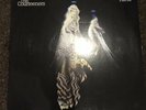 The Courteeners - Falcon - Very Rare Vinyl LP