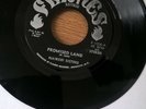 NAIROBI SISTERS - PROMISED LAND / DUB - FLAMES - F-1006 - 1975