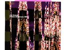 Joy Division ?– Preston, 28 February 1980 Opaque Violet LP Drastic Plastic