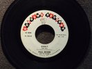 PAUL REVERE AND THE RAIDERS Orbit GARDENA 106 listen  GARAGE Mad Mike