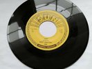 Rudy Grayzell 45 - Judy / I Think of You - SUN 290    M-