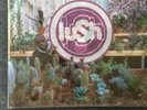 Lush LP -Lovelife Transparent Record 4AD 1996 Ladykiller