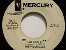 THE PILGRIMAGE: BAD APPLE / YOU SATISFY ME 1966 GARAGE FUZZ PROMO - 45rpm