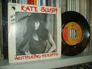 KATE BUSH 7