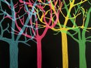 Tapes 'n Tapes ?– The Loon [12'' Vinyl LP] MINT
