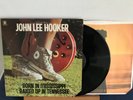 JOHN LEE HOOKER BORN IN MISSISSIPPI RAISED UP IN TENNESSEE ABCX768 US1973 NM/VG+
