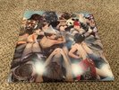 Person Pitch [LP] by Panda Bear (Vinyl, Jun-2007, EMI Music Distribution)