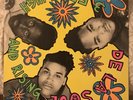 DE LA SOUL - 3 FEET HIGH AND RISING Orig 1989 White Label PROMO EX
