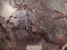 COCTEAU TWINS Head Over Heels New Sealed 180G Vinyl LP + MP3 + FREE SHIPPING