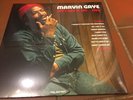 Marvin Gaye 