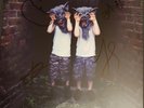 The Temper Trap Thick as Thieves Limited Edition Signed Vinyl LP