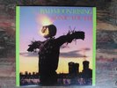 Sonic Youth Bad Moon Rising 1985 Blast First BFFP1 HMS 016 mit Textblatt NMint