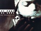 Ice Cube - The Predator '03 2xLP US Remastered Album  DJ Muggs NWA