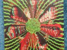 King Gizzard & The Lizard Wizard Cellophane Rare 7'' Vinyl Heavenly UK (2014)