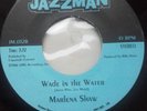 MARLENA SHAW  ** Wade in the water / Calafronia soul  **