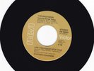 RARE NORTHERN SOUL ORIGINAL THE BROTHERS ARE YOU READY FOR THIS