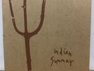 rare INDIAN SUMMER original 7” CALM CAPN JAZZ emo HEROIN HOT WATER MUSIC GRAVITY
