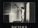 Bauhaus In The Flat Field Original 4ad Uk 1980 Lp w Inner Sleeve