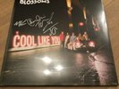 Blossoms - Cool Like You - Signed New And Sealed Vinyl Record LP