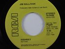 Folk Rock 45 JIM SULLIVAN Highway RCA promo HEAR