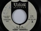 Garage Psych 45 TERRY RANDALL s.o.s. VALIANT promo HEAR