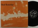 DEAD KENNEDYS Fresh Fruit For Rotting Vegetables IRS LP VG+ w/poster