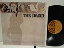 EX+/EX+ The David 