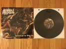 Arghoslent - Hornets of the Pogrom LP vinyl