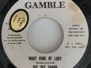 Dee Dee Sharp - What Kind Of Lady - Gamble DJ wlp Promo 45
