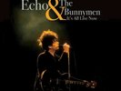 Echo & the Bunnymen - It's All Live Now Limited Edition 180g LP Run Out Groove